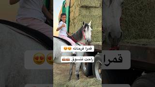 جود و قمرا 😍 شوفوا وين راحت 🤣 #خيل #horse #اكسبلور #خياله #ترند #مربط #حصان #الخيل