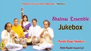 Shahnai Ensemble | Pandit Daya Shankar