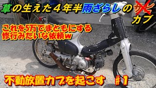 カブレストア1　4年半放置　草の生えたカブを起こす