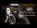 Lady Gaga - Before I Cry (VMC Remix)