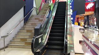 【愛知県 北名古屋市】ドン・キホーテ 楽市街道名古屋店 エスカレーターに乗ってみた！（三菱製／1F→2F）