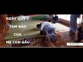 Ngày Quy Y Tam Bảo Của Mẹ Con Gấu