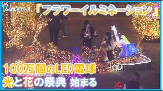 【中国地方最大級100万個のLED電球を使った光と花の祭典】「フラワーイルミネーション」11月15日から開催　鳥取県南部町・とっとり花回廊