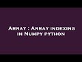 Array : Array indexing in Numpy python