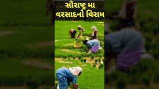 Saurashtra ma Varsadno Viram | સૌરાષ્ટ્ર મા વરસાદ નો વિરામ | #shorts