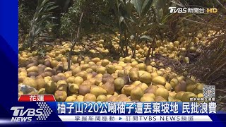 柚子山?20公噸柚子遭丟棄坡地 民批浪費｜TVBS新聞 @TVBSNEWS02