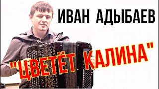 Поёт Иван Адыбаев «Цветёт калина» (слова М.Даркина и  И.Адыбаева, музыка И.Адыбаева)