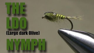 The LDO (Large Dark Olive) nymph