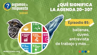 Ep85: ¿Qué significa la agenda 20-30? Ballenas, cuyeo, entrevista de trabajo y más en OLR #podcast