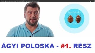 #1 rész - Ágyi poloska csípés, ágyi poloska FELISMERÉSE - ágyi poloska irtás ( irtas-sos.hu)