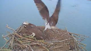 33's arrival at Manton Bay