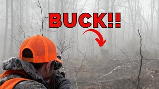 STILL HUNTING the top of a MOUNTAIN |  BUCK DOWN #bigwoods #whitetails #mountains