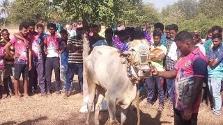 setti thala at chinnathekepalli