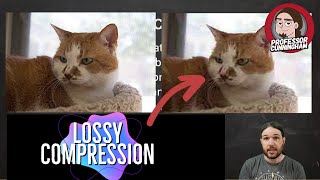 Compression, Lossy & Lossless - AP Computer Science Principles