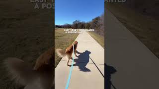 September 2025 Net Worth Update