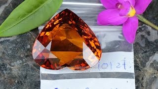 พลอย บุษราคัม บางกะจะ ขนาดใหญ่ หายากมาก Yellow Sapphire กะรัต 101 Ct. 28.2x30.4x14.3 mm.