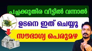 പച്ചക്കുതിര വീട്ടിൽ വന്നാൽ ഇങ്ങനെ ചെയ്യു.മഹാലക്ഷ്മി സമ്പത്ത് വാരിക്കോരി നൽകും.സൗഭാഗ്യ പെരുമഴ പെയ്യും