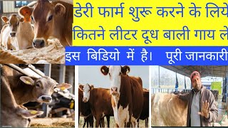 डेरी फार्म के लिए शुरुआत मे ले ऐसी गाय कभी नही होगा नुकसान  #dairycows #dairyfarming