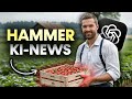 KI-NEWS: Q* Strawberry ENTHÜLLT, OpenAI Mitarbeiter KÜNDIGEN, Figure-02 Roboter FAST ZU MENSCHLICH!