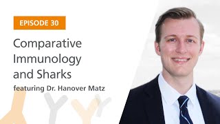 Comparative Immunology and Sharks featuring Dr. Hanover Matz | The Immunology Podcast