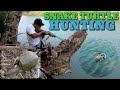 CO2 AIRGUN HUNTING SNAKE TURTLE JAKPOT