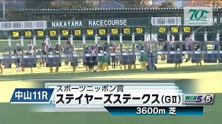 中山11R 第58回スポーツニッポン賞ステイヤーズステークス（G2）