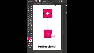 How a Beginner vs Professional Uses Illustrator