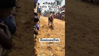 மேல் மயில் 🔥 ஏரிகுத்தி கிங் மேக்கர்🐂 எருது விடும் திருவிழா #jallikattu#eruthukattu@BossCreation22