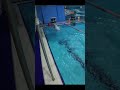 국가대표의 깔끔한 자유형 플립턴 정소은 swimming 수영