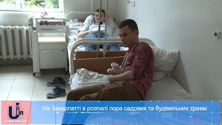 На Закарпатті в розпалі пора садових та будівельних травм