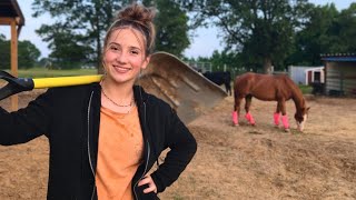 Our Farm MORNING ROUTINE | Milking, Feeding, etc..