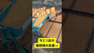 農業初心者【初めての米作り】その2〜籾まき編〜播種機！初めて見た🙄#shorts #農業 #米作り#automobile #short