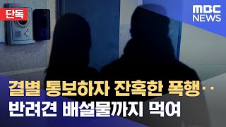 [단독] 결별 통보하자 잔혹한 폭행‥반려견 배설물까지 먹여 (2022.09.20/뉴스데스크/MBC)