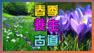 【春天 季節】健康生活從春天開始，春季養生古道： “一年之計在於春”！| 春天 攻略| 春天 吃什麽 ？|春天 養生|春天 養肝|春天花茶|春天 湯水食譜|春天 养肝