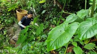 230 days: Gardening, picking vegetables, wild banana leaves and corn to sell at the market