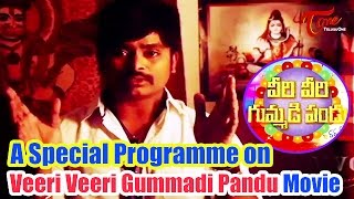 A Special Programme On Veeri Veeri Gummadi Pandu | Latest Telugu Movie