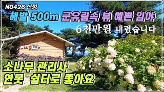 (재업로드 매매가 하향 조정)해발 500m 군유림속 뷰 예쁘고 평평한 임야 소나무 관리사 연못 쉬어 가고 싶은곳 토지 3,442평 건평 20평 산청군 신안면 토지 매매 산청부동산