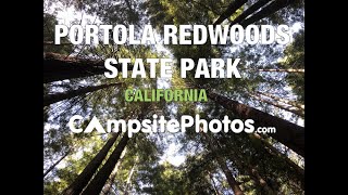 Portola Redwoods State Park, California Campsite Photos