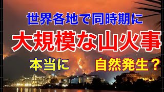 世界各地で山火事が相次ぐ/ギリシャは島民が脱出、トルコは火力発電所にも／北米は琵琶湖12個相当が焼失