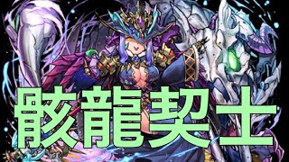 【パズドラ】エルメ降臨！［ドラゴン強化］   骸龍契士   絶地獄級