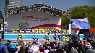 神石踊娘隊きらきら星　仙養　桜伝説　　カーネーションステージ2013