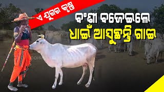 Special Story | Odisha Man Dedicates His Life For ‘Gau Seva’