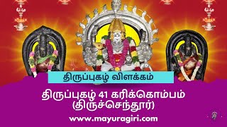 திருப்புகழ் 41 கரிக்கொம்பம்    - திருப்புகழ் விளக்கம் -  #உச்சிக்கால_பூஜை