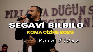 KOMA CİZİRE - SEGAVİ - BILBILO 2023 HD 4K KLİP