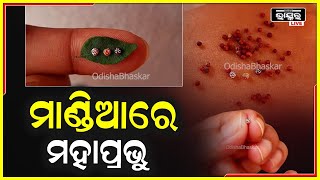 ମାଣ୍ଡିଆରେ ଭରି ରହିଛି ଅନେକ ପ୍ରକାର ଔଷଧୀୟ ଗୁଣ, ସେଥିରେ ଶୂନ୍ୟ ପ୍ରତିଶତ ରହିଛି ସୋଡ଼ିୟମ