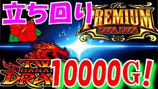 スロカスニートのハナハナの立ち回り!総G数10000G!!【ツインドラゴンハナハナ】【プレミアムハナハナ】スロカス#59