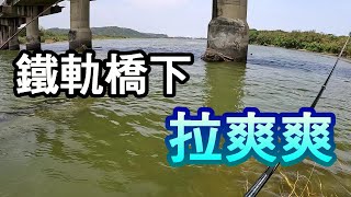 火車再走的鐵橋墩下，渾不知整條河道 處處都是驚喜!!