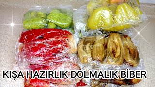 Dolmalık Biberi Buzlukta Uzun Süre Saklama (Denemeye Değer)