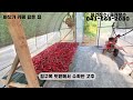 물건번호2653 태안군 태안읍 바다3km