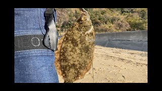 【投げ釣り】カレイ  広島県  倉橋  亀ヶ首試射場